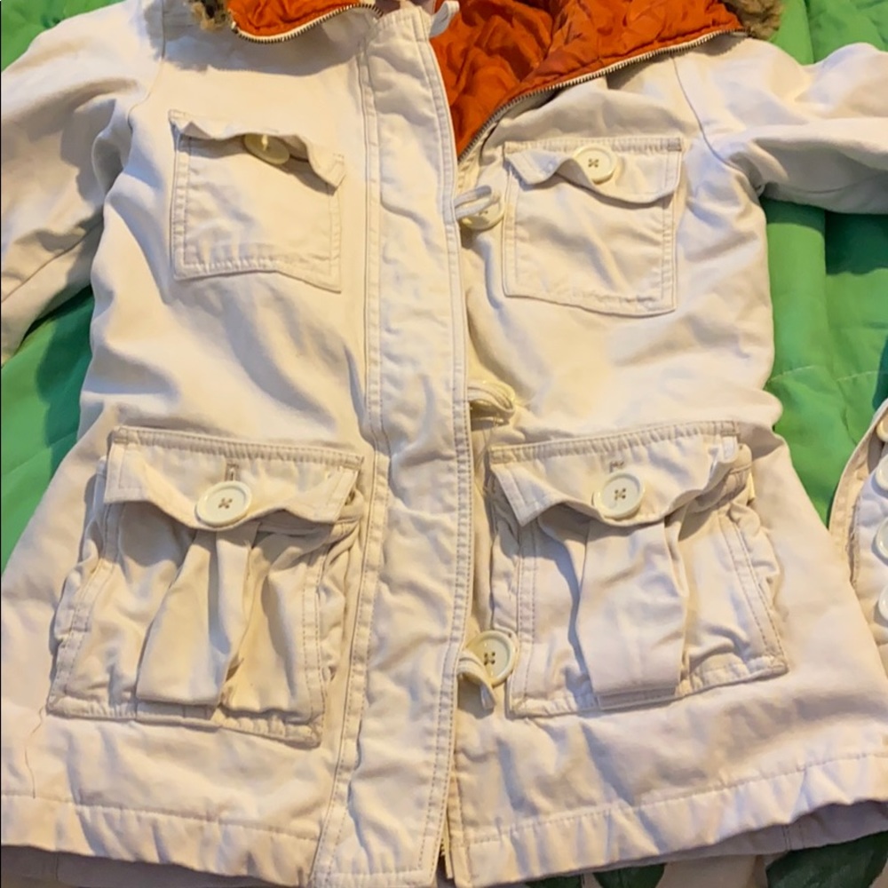 Hollister winter jacket